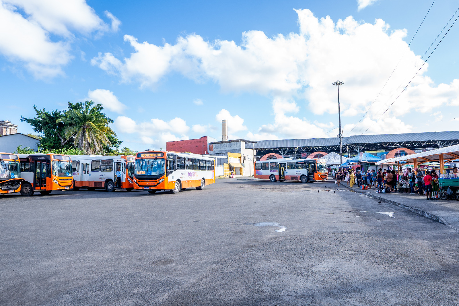 ÔNIBUS GRÁTIS EM CAMAÇARI NO DIA DAS CRIANÇAS