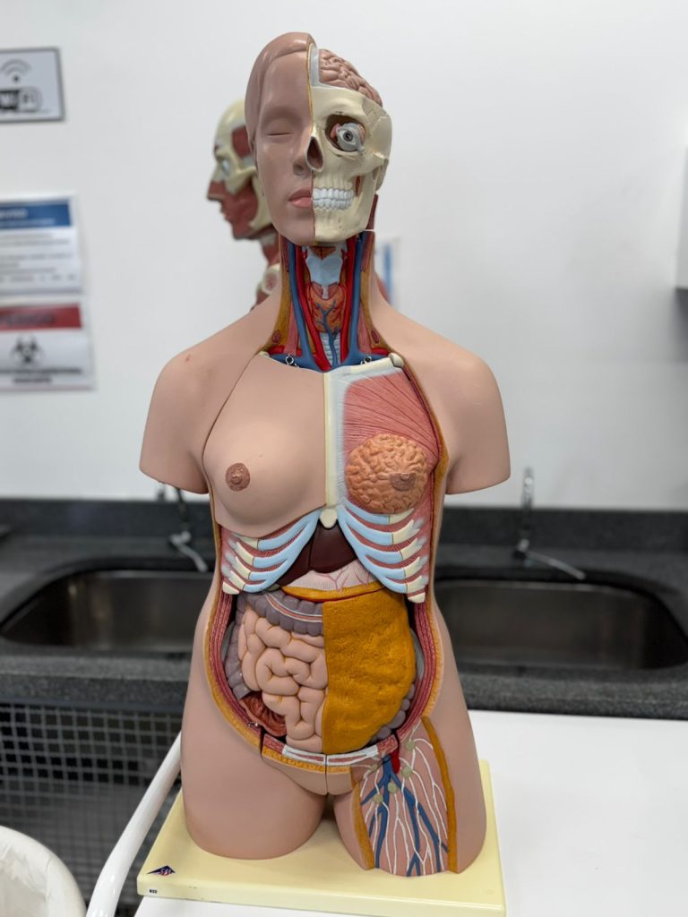 WhatsApp-Image-2025-07-21-at-12.22.36-1-768x1024 Treinamento na UPA da Gleba A reforça compromisso com atendimento de excelência e salva vidas